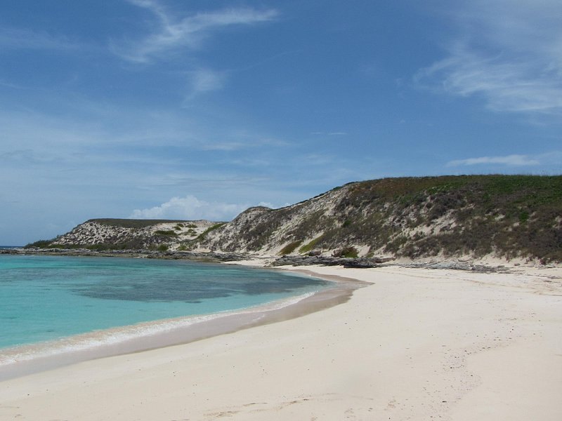 A curving beach below low limestone cliffs
