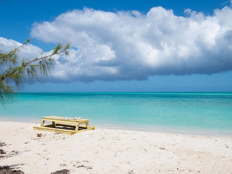 A picnic table on a quiet beach under casuarina trees, turquoise water beyond