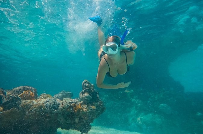 Private Half Day Luxury Snorkeling Charter