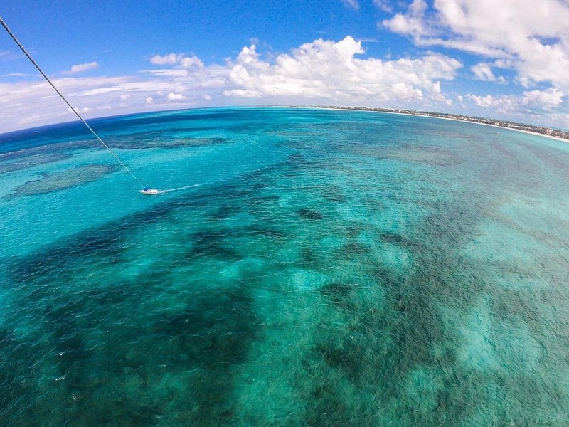 Dark reef patches under turquoise water, seen from high above