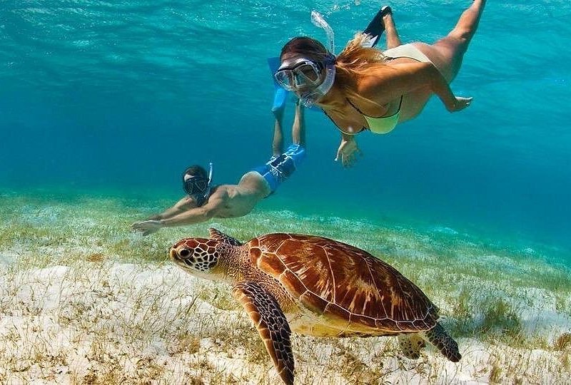 A masked snorkeler diving beside a sea turtle over the seabed