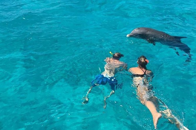 Two snorkelers face down in turquoise water as a dolphin swims past
